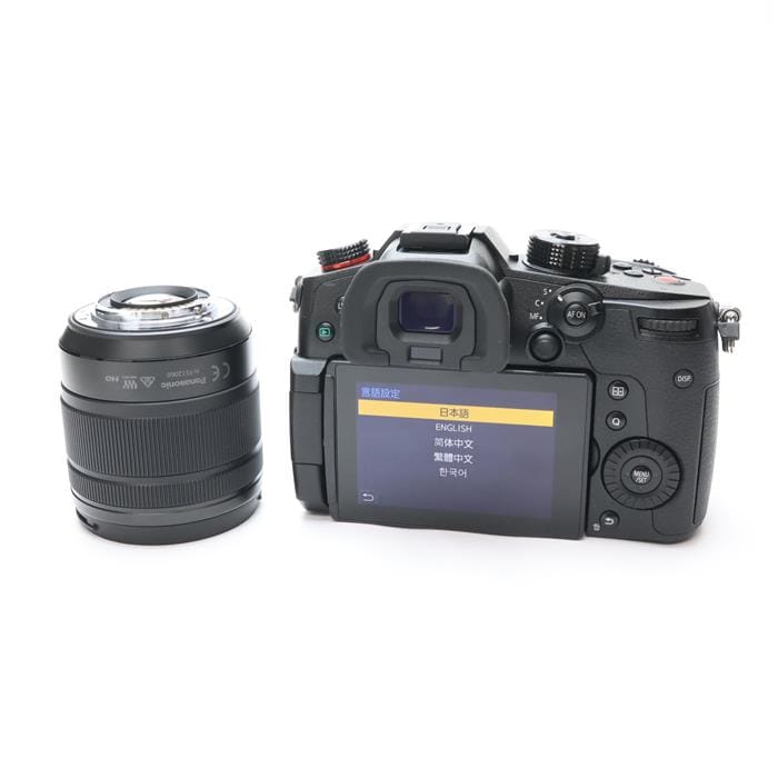 LUMIX GH5II 標準ズームレンズキット DC-GH5M2M