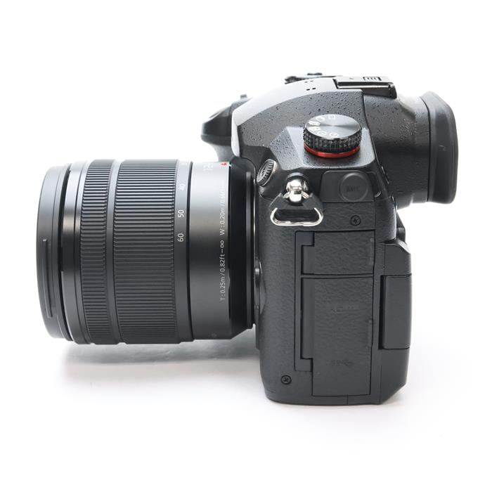 LUMIX GH5II 標準ズームレンズキット DC-GH5M2M