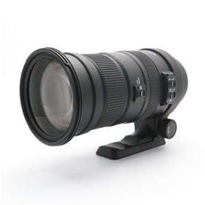 Sigma Apo 50 500mm F4 5 6 3 Dg Os Hsm ペンタックス用 の商品検索結果 デジタルカメラ ミラーレスカメラ 交換レンズの総合サイト マップカメラ