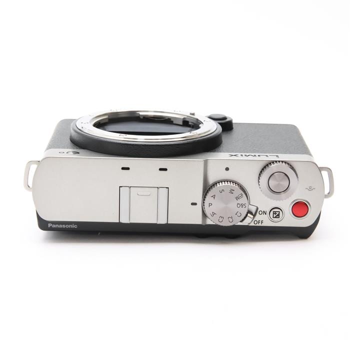 中古Panasonic (パナソニック)LUMIX S9 ダブルレンズキット DC-S9W-S