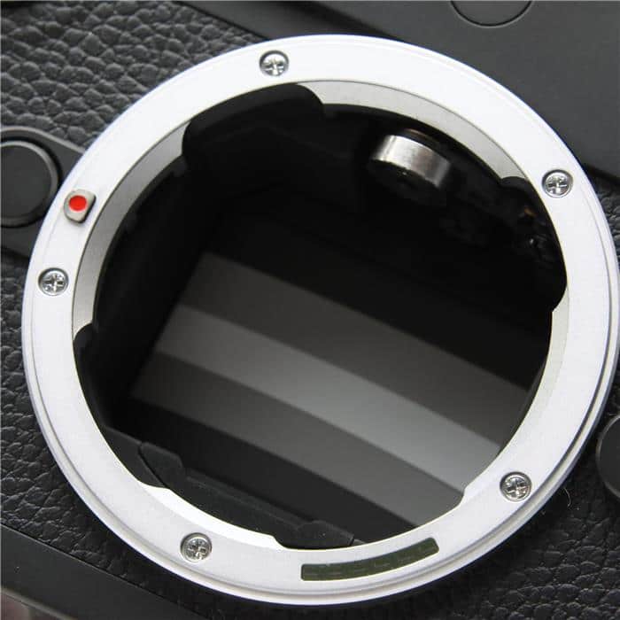 M10 モノクローム