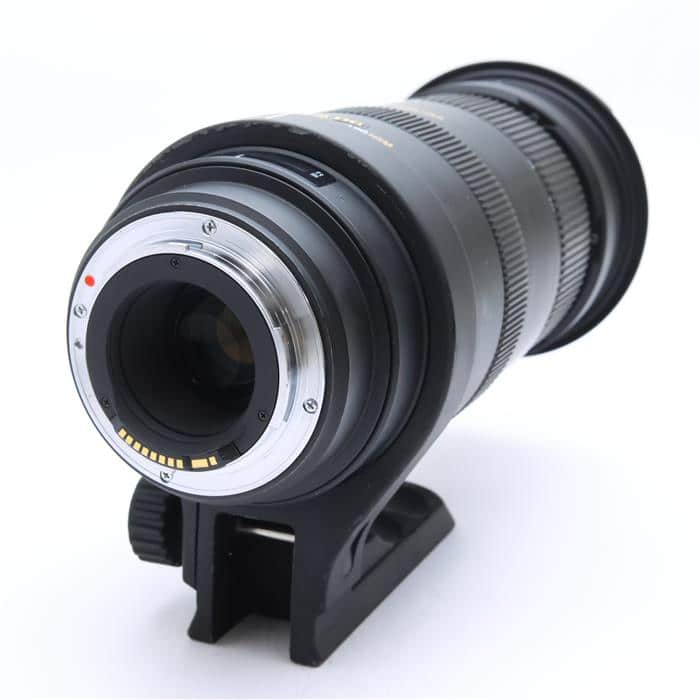 APO 50-500mm F4.5-6.3 DG OS HSM (キヤノンEF用)