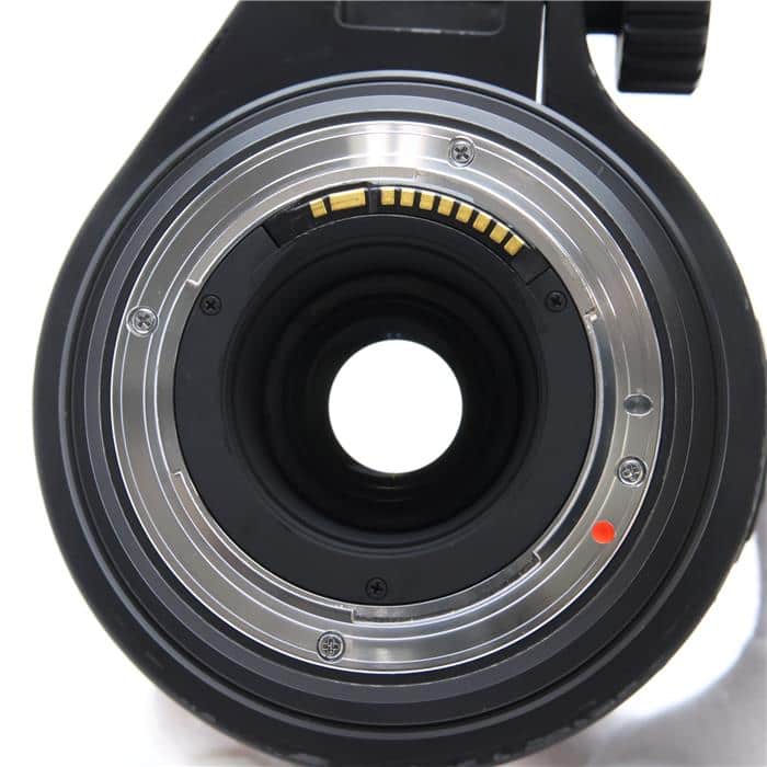 APO 50-500mm F4.5-6.3 DG OS HSM (キヤノンEF用)