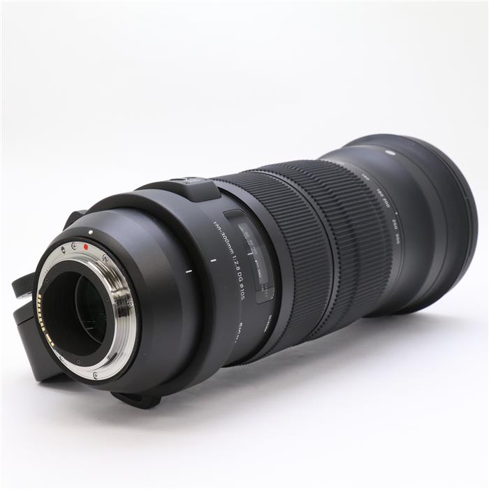 New SIGMA 120300mm f/2.8 DG OS HSM Sports Lens for NIKON F 85126137557 eBay