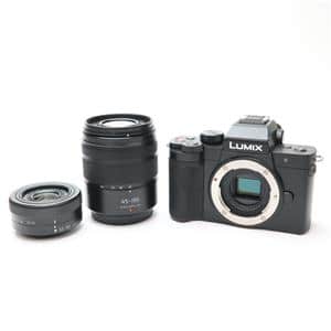 Panasonic (パナソニック) LUMIX DC-G100DW ダブルズームレンズキット