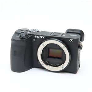 SONY (ソニー) α6600 ボディ ILCE-6600 メイン