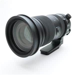 SIGMA (シグマ) Sports 60-600mm F4.5-6.3 DG OS HSM（ニコン用）」の