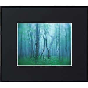 Kenko (ケンコー) アルミ額縁 ギャラリー 六切 アクリル入り AGY-6-BK ブラック メイン