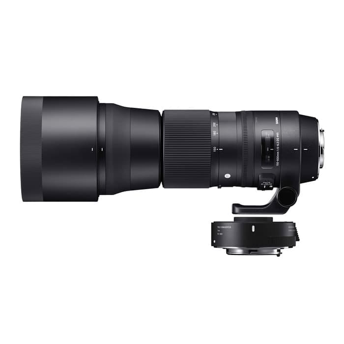 HSM　美品　Contemporary　OS　DG　１年保証　F5-6.3　1.4x　SIGMA　ニコン-　150-600mm　テレコンバーターキット