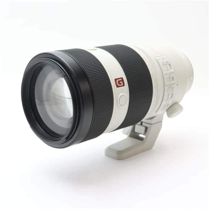 FE 100-400mm F4.5-5.6 GM OSS SEL100400GM