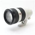FE 100-400mm F4.5-5.6 GM OSS SEL100400GM