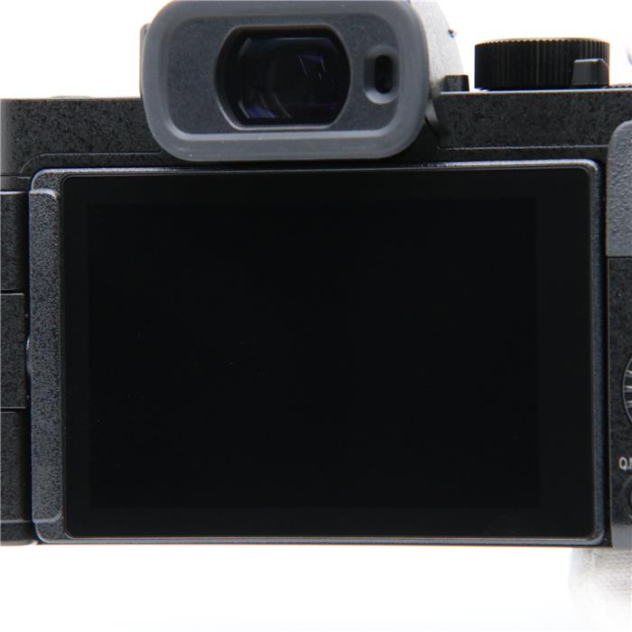 中古)Panasonic (パナソニック) LUMIX DC-G100D ボディ（商品ID