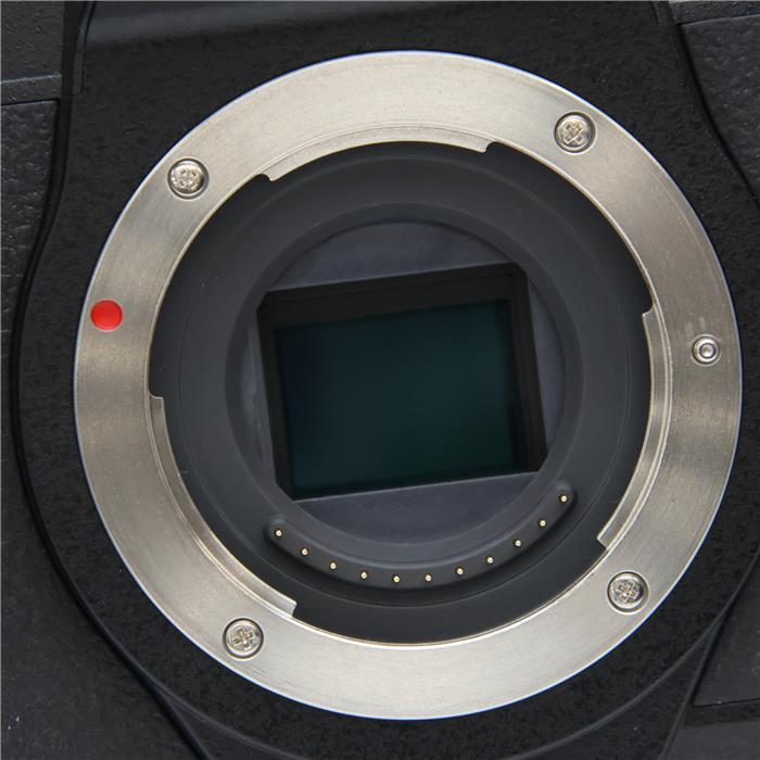 LUMIX DMC-G8 ボディ