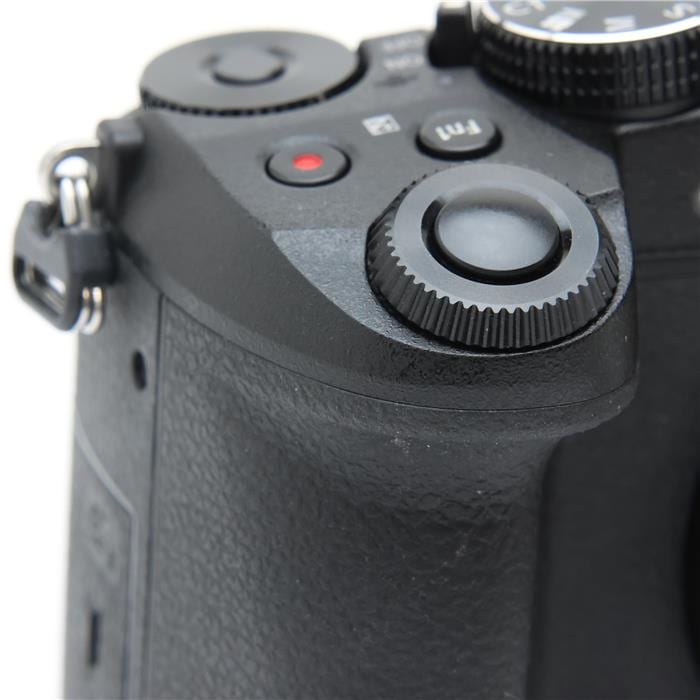 LUMIX DMC-G8 ボディ