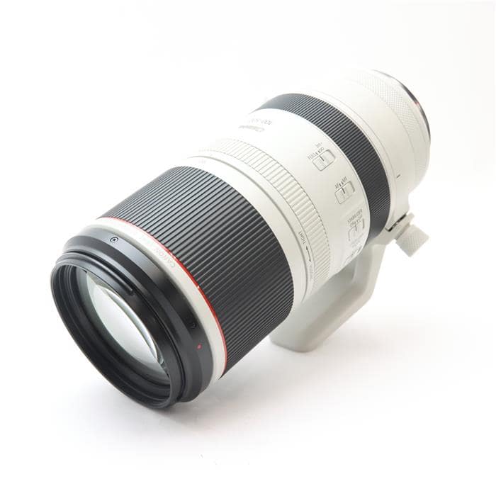 RF100-500mm F4.5-7.1 L IS USM