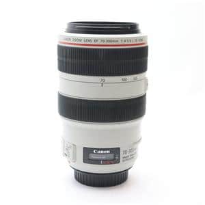 キヤノン Canon EOS 30D EF 70-300mm 望遠 レンズセット 手振れ補正 