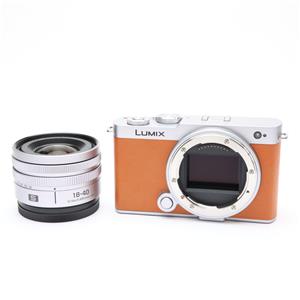 Panasonic (パナソニック) LUMIX S9 広角ズームレンズキット DC-S9N-D