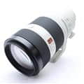 FE 100-400mm F4.5-5.6 GM OSS SEL100400GM