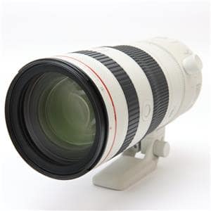 新品)Canon (キヤノン) RF70-200mm F2.8 L IS USM Z ホワイト 新品)Canon (キヤノン) RF70-200mm F2.8 L IS USM Z ホワイト