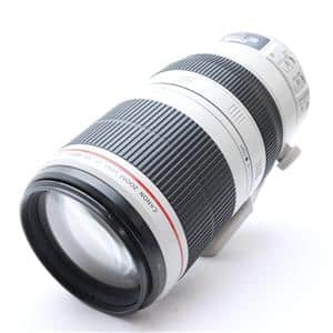 Canon (キヤノン) EF100-400mm F4.5-5.6L IS II USM メイン
