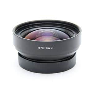RICOH ワイドコンバージョンレンズ gw-3」の商品検索結果 | デジタル