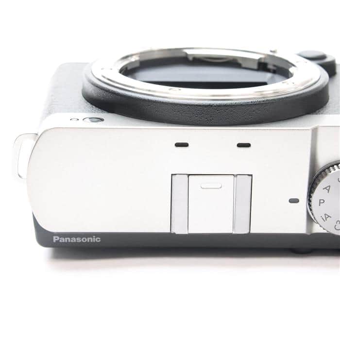 LUMIX S9 高倍率ズームレンズキット DC-S