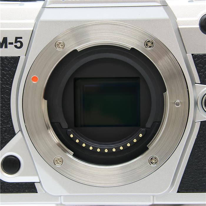 OM-5 ボディ