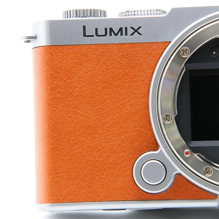 LUMIX S9 広角ズームレンズキット DC-S9N-D