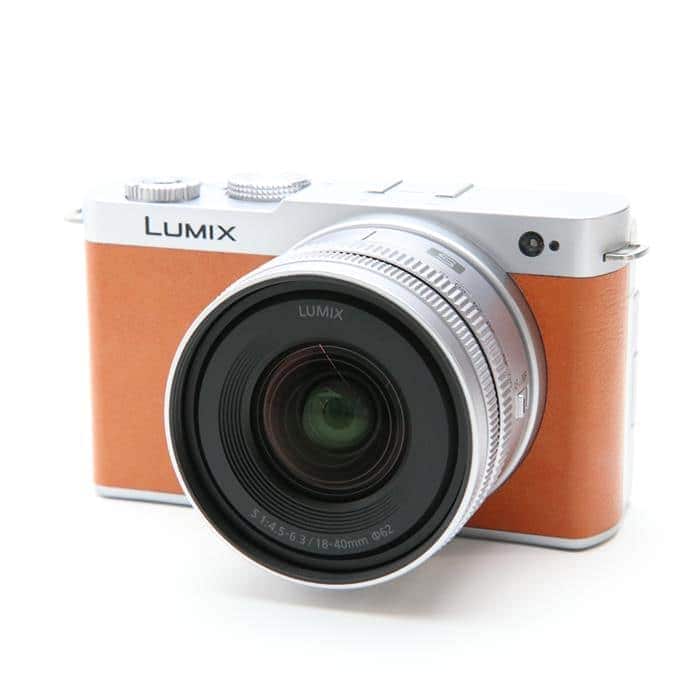 LUMIX S9 広角ズームレンズキット DC-S9N-D