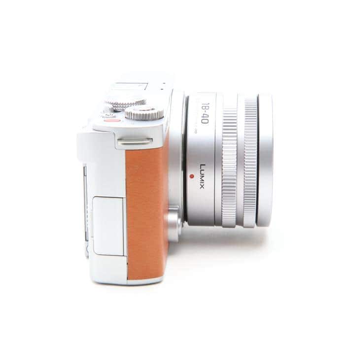 LUMIX S9 広角ズームレンズキット DC-S9N-D