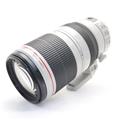 Canon (キヤノン) EF100-400mm F4.5-5.6L IS II USM