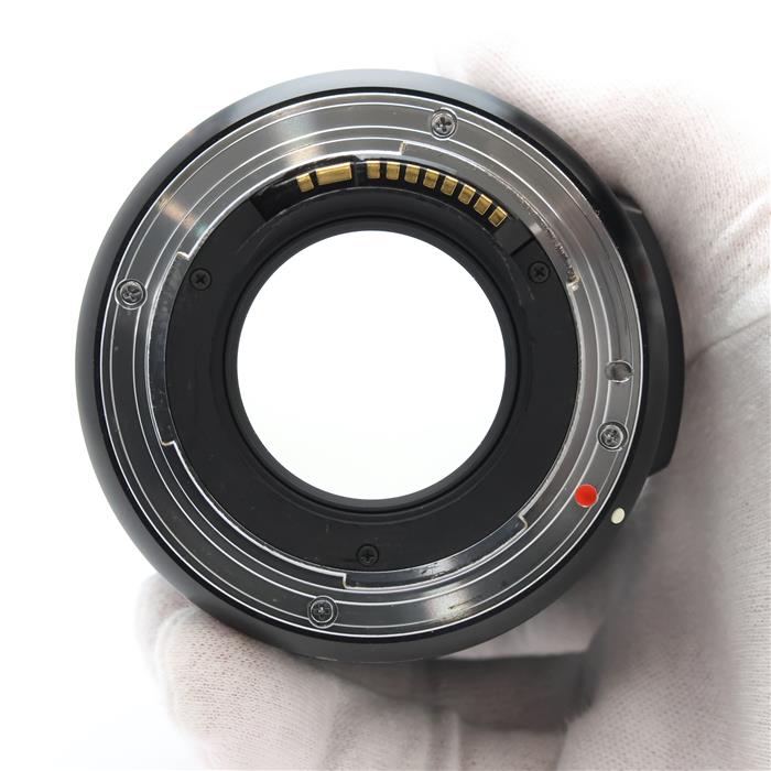 Art 35mm F1.4 DG HSM (キヤノンEF用)