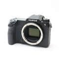 FUJIFILM (フジフイルム) GFX 100S