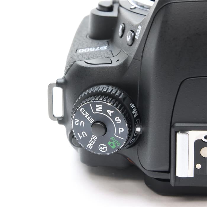 D7500 ボディ