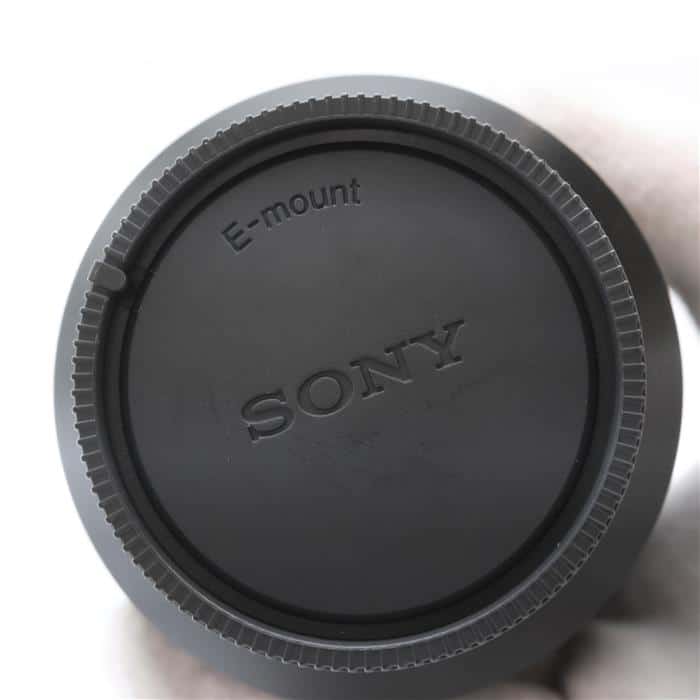 ソニー SONY FE 24-105mm F4 G OSS SEL24105G 一眼カメラ用レンズ