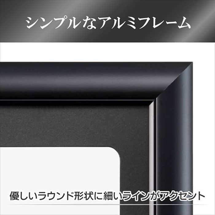 新品)HAKUBA (ハクバ) アルミ額縁 PEORIA+ (ペオリア プラス) A4
