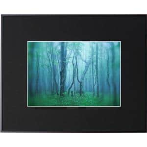 Kenko (ケンコー) アルミ額縁 ギャラリー A4 アクリル入り AGY-A4-BK ブラック メイン