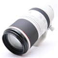 Canon (キヤノン) RF100-500mm F4.5-7.1 L IS USM