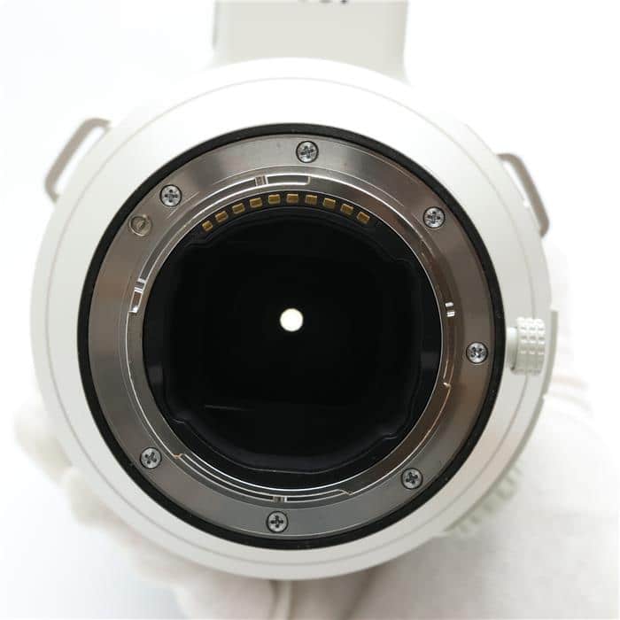 FE 400mm F2.8 GM OSS SEL400F28GM