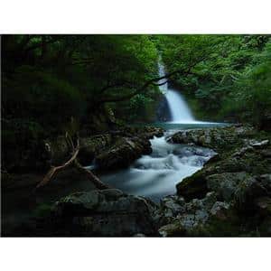 OM SYSTEM（オーエムシステム） OM-3 12-45mm F4.0 PRO レンズキット シルバー
