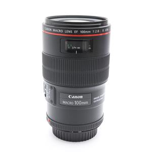 Canon (キヤノン) EF100mm F2.8Lマクロ IS USM」の商品検索結果