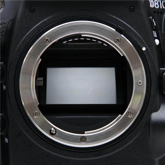D810 ボディ