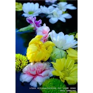 FUJIFILM (フジフイルム) X-T30 III XC13-33mmレンズキット シルバー