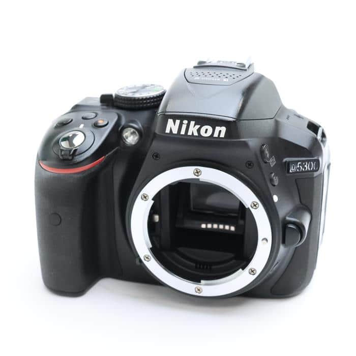 カメラ Nikon D5300 限り / 追加のバッテリー / 主電源
