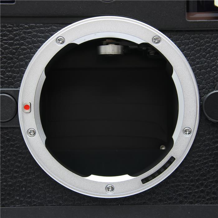 M11 モノクローム