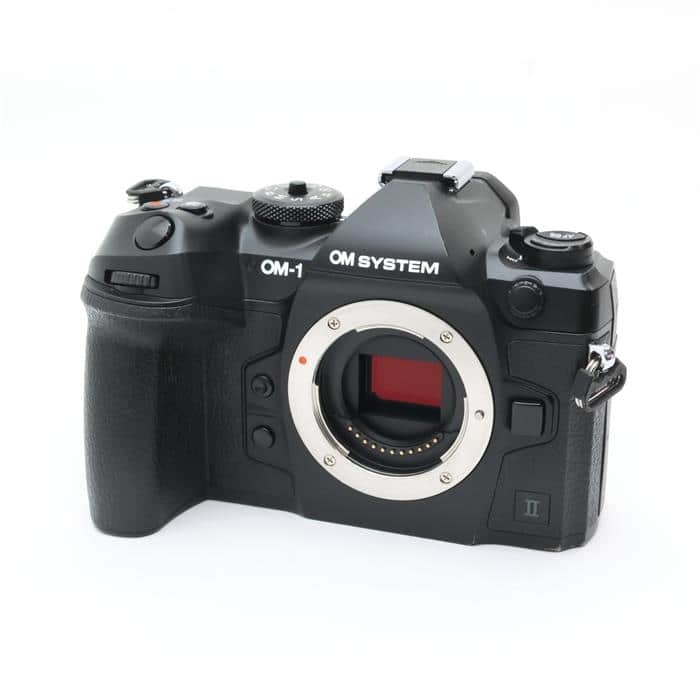 OM-1 Mark II ボディ