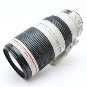 Canon (キヤノン) EF100-400mm F4.5-5.6L IS II USM メイン