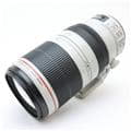 EF100-400mm F4.5-5.6L IS II USM