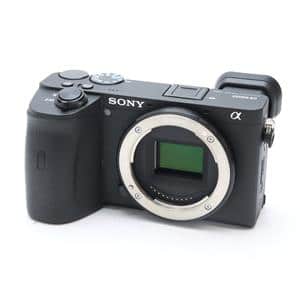 SONY (ソニー) α6600 ボディ ILCE-6600 メイン