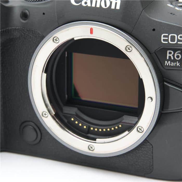 EOS R6 Mark II ボディ